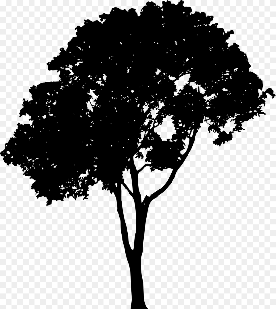 Transparent Silhouette Images Trees Vector, Gray Free Png
