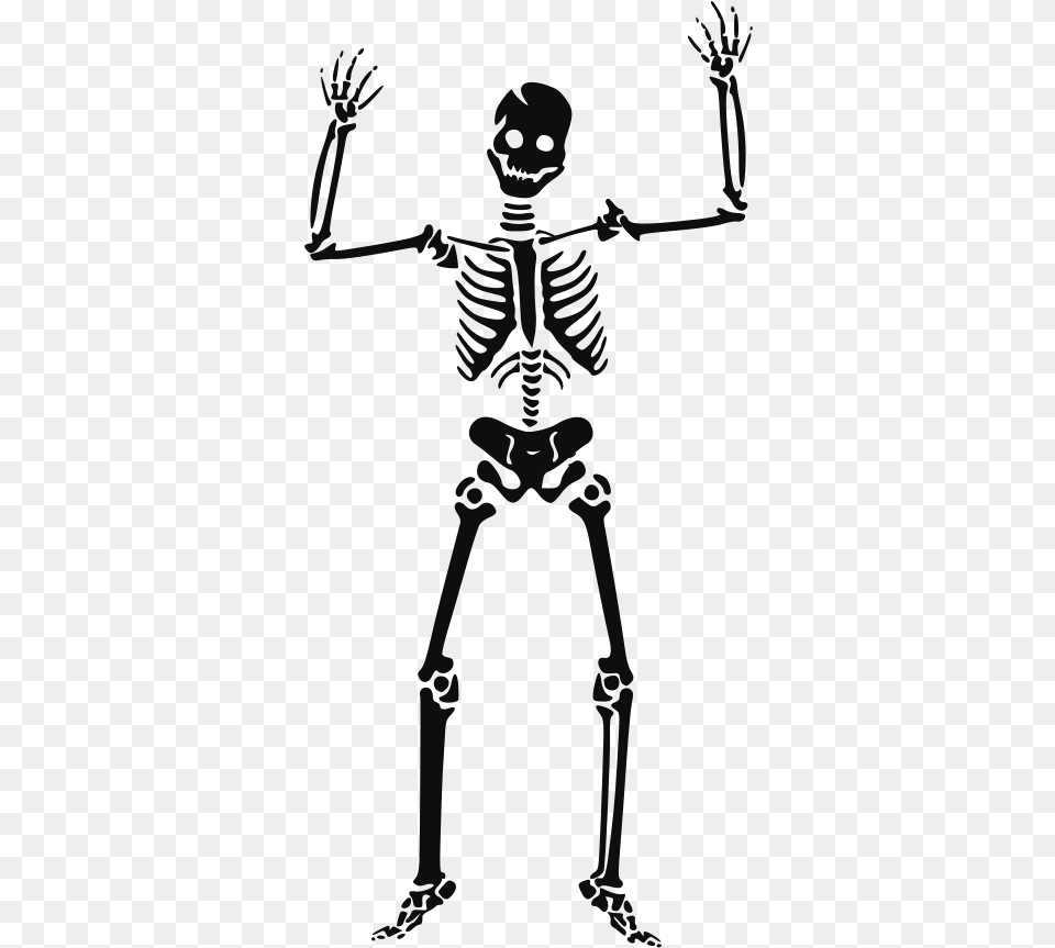 Transparent Skeletal System Halloween Skeleton, Person, Face, Head Free Png Download