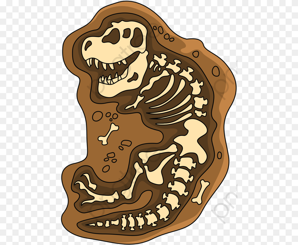 Transparent Skeleton Dinosaur Fossils Clipart, Accessories, Ornament, Person Png