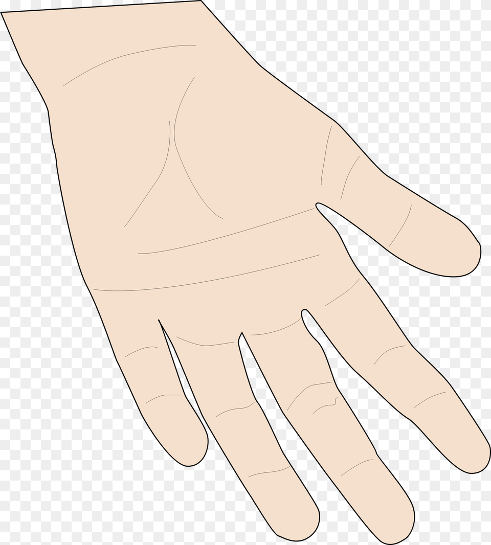 Transparent Skin Clipart Hand Skin Clipart, Body Part, Clothing, Finger, Glove Png