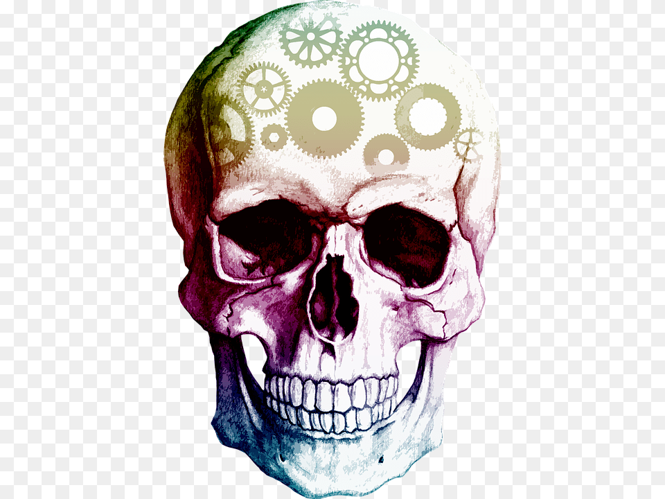 Transparent Skull, Baby, Person, Head, Face Png Image