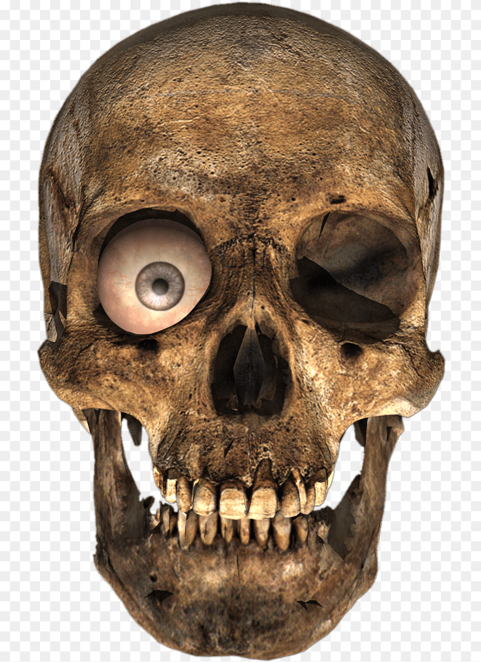Transparent Skull, Person, Face, Head Free Png Download
