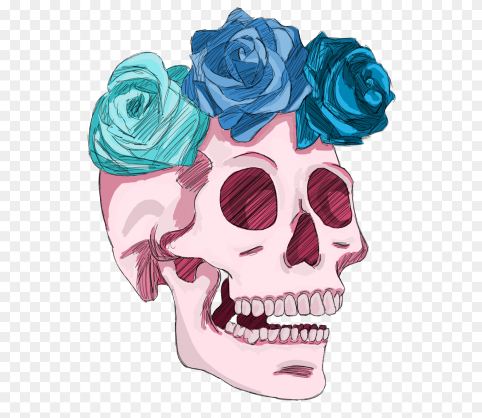 Transparent Skull And Roses Skull Rose Drawing Transparent, Art, Plant, Flower, Graphics Free Png