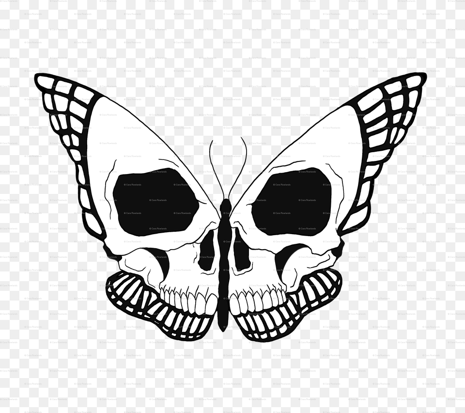 Transparent Skull Butterfly Skull, Person Png