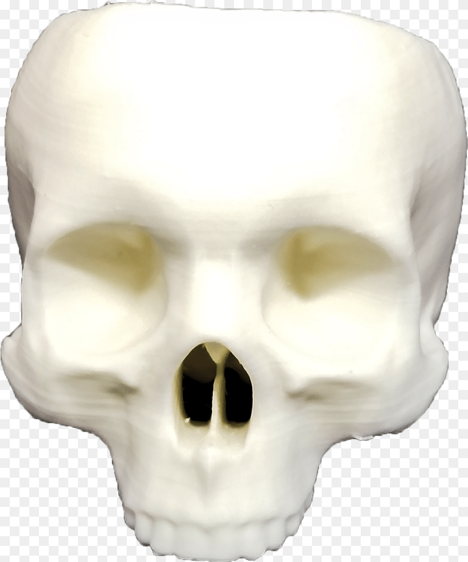 Skull No Jaw, Baby, Person, Head Free Transparent Png