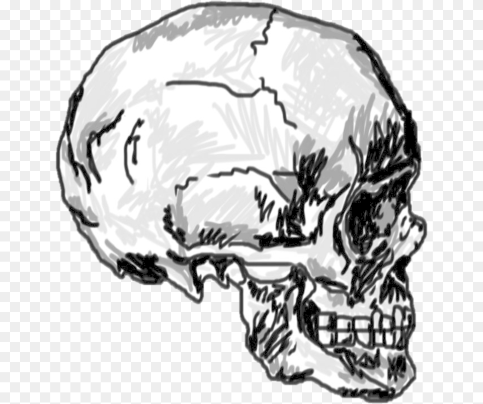 Skull Tumblr Koponya, Adult, Male, Man, Person Free Transparent Png