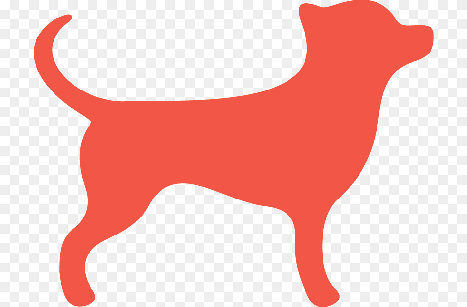 Transparent Sling Tv Logo, Animal, Pet, Canine, Mammal Png