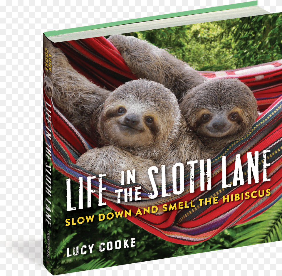 Sloth Life In The Sloth Lane Free Transparent Png