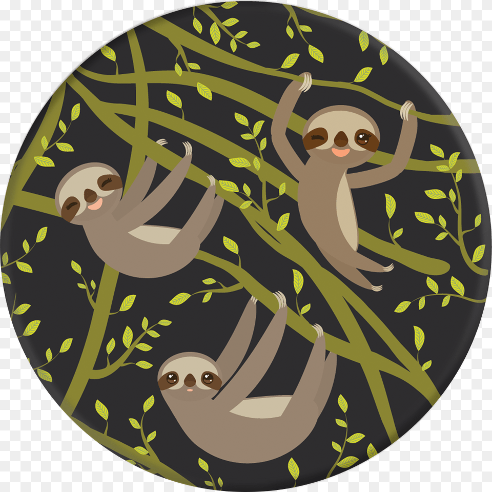 Transparent Sloth Popsockets, Animal, Mammal, Wildlife, Face Png