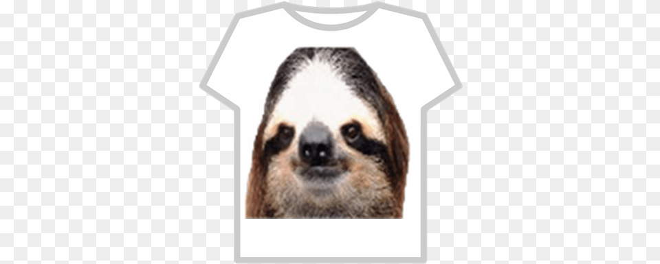 Transparent Sloth Tshirt Roblox Camisa De Musculos Roblox, Animal, Canine, Dog, Mammal Png Image
