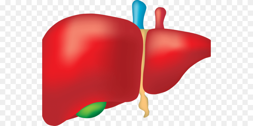 Transparent Small Intestine Clipart World Hepatitis Day Theme 2018, Fruit, Apple, Produce, Food Free Png Download