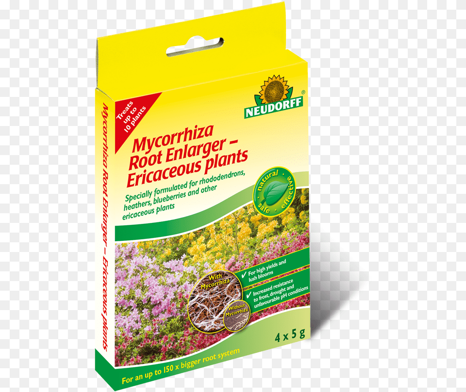 Transparent Small Plant Neudorff, Herbal, Herbs, Flower, Astragalus Png Image