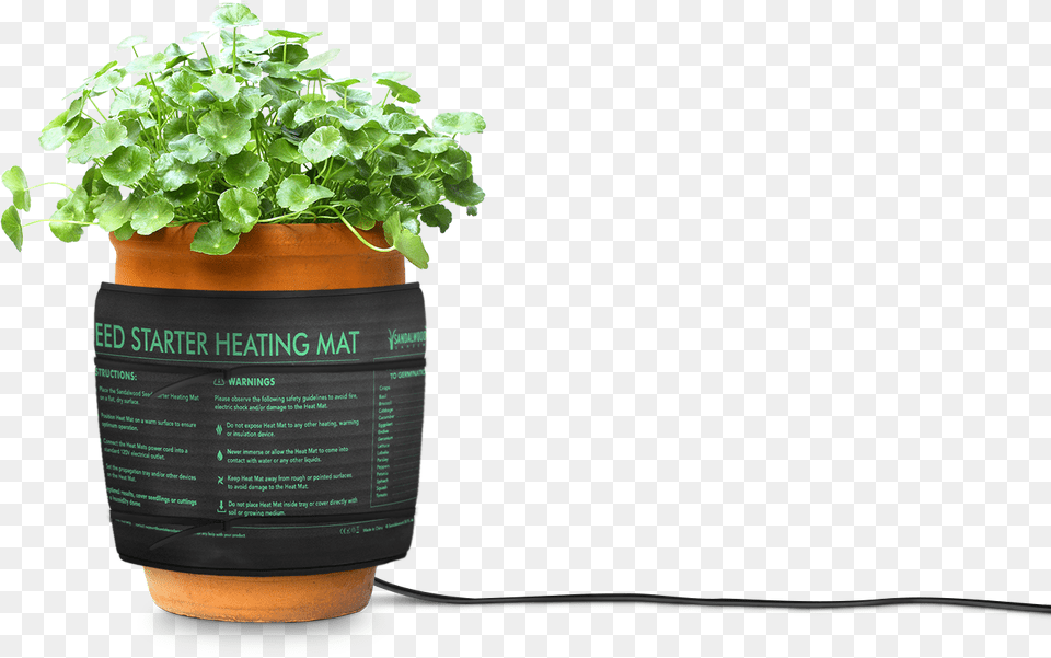 Transparent Small Plant Plant Heating Mat, Jar, Planter, Potted Plant, Pottery Free Png