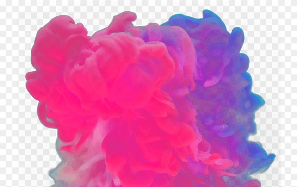 Transparent Smoke Background, Accessories, Flower, Plant, Rose Free Png Download