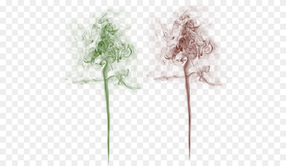 Smoke Background Fundo Transparente Imagens, Art, Modern Art, Person, Canvas Free Transparent Png