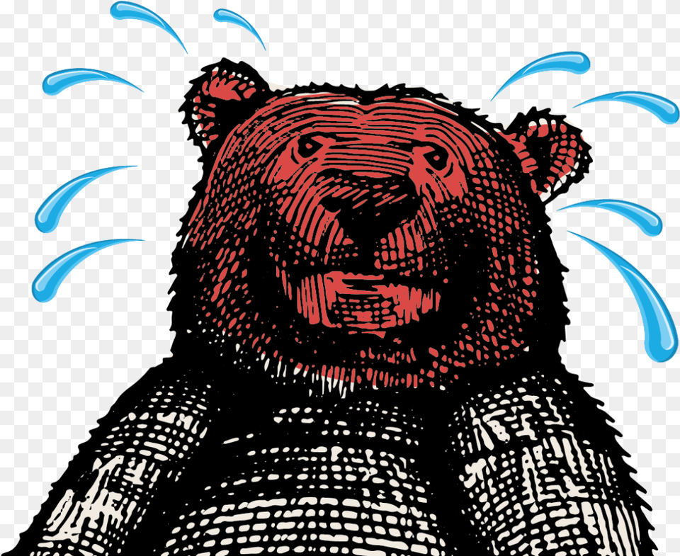 Transparent Smokey The Bear American Black Bear, Animal, Dinosaur, Reptile, Art Free Png Download