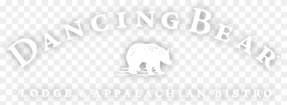 Transparent Smokey The Bear Polar Bear, Animal, Mammal, Wildlife, Stencil Free Png Download