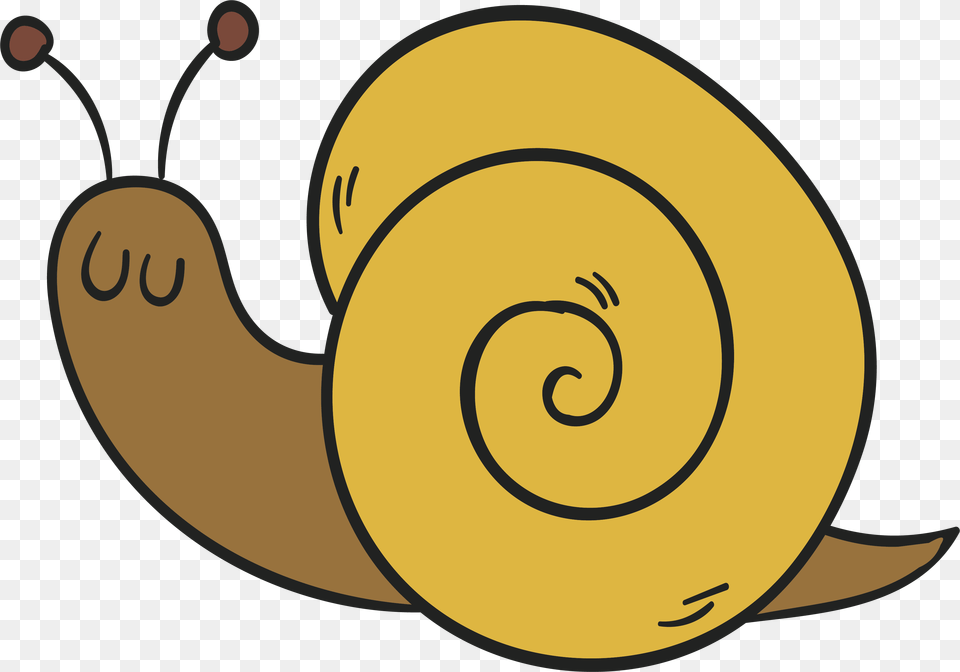 Transparent Snail Snail Drawing Transparent Background, Animal, Invertebrate, Clothing, Hardhat Png Image