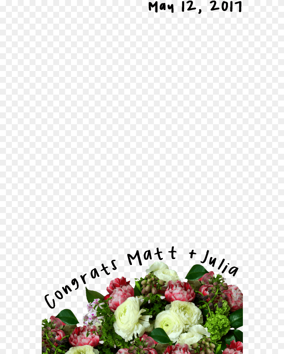 Transparent Snapchat Overlay Garden Roses, Rose, Plant, Flower, Flower Arrangement Free Png Download