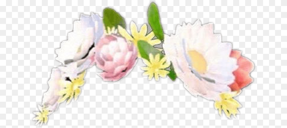 Transparent Snapchat Tumblr Snapchat Flower Filter, Daisy, Flower Arrangement, Flower Bouquet, Petal Png