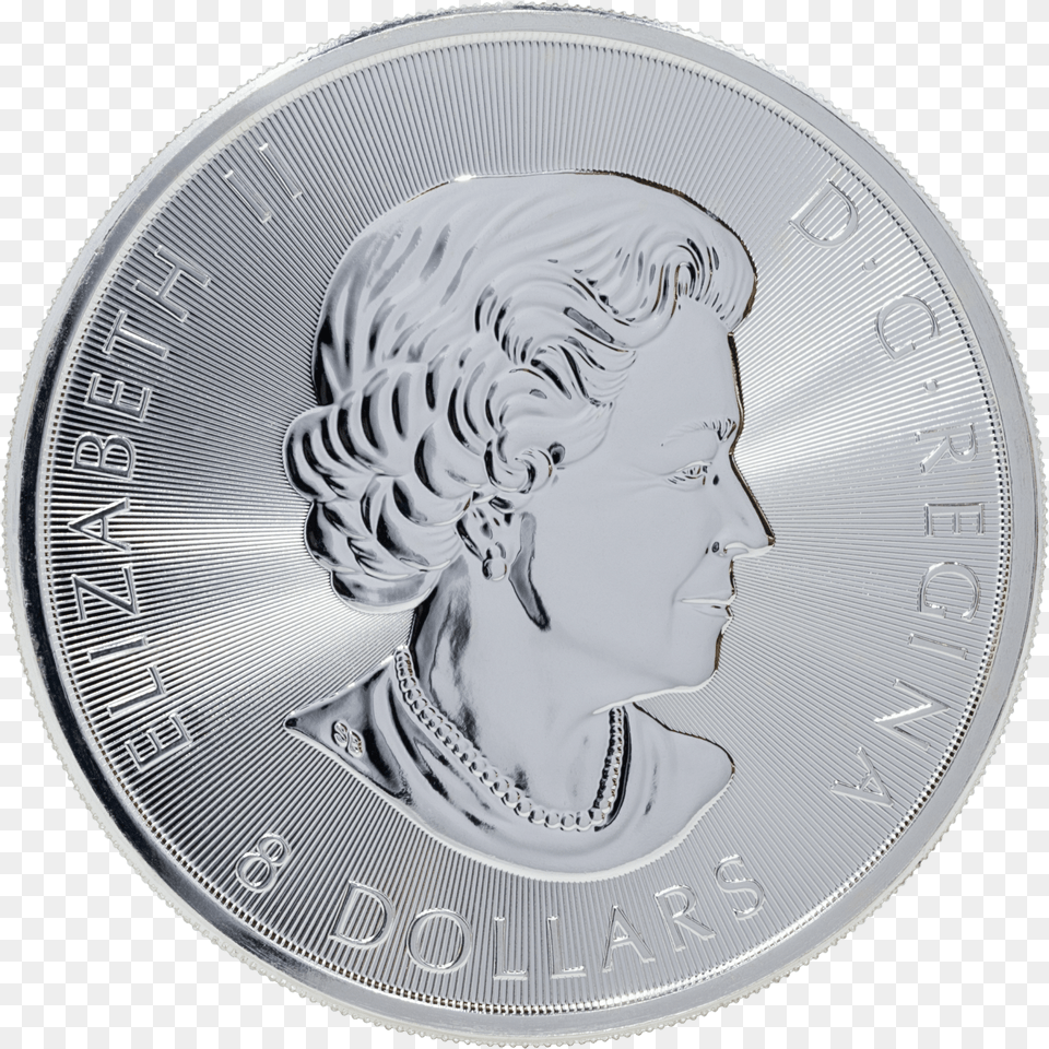 Snow Owl, Coin, Face, Head, Money Free Transparent Png