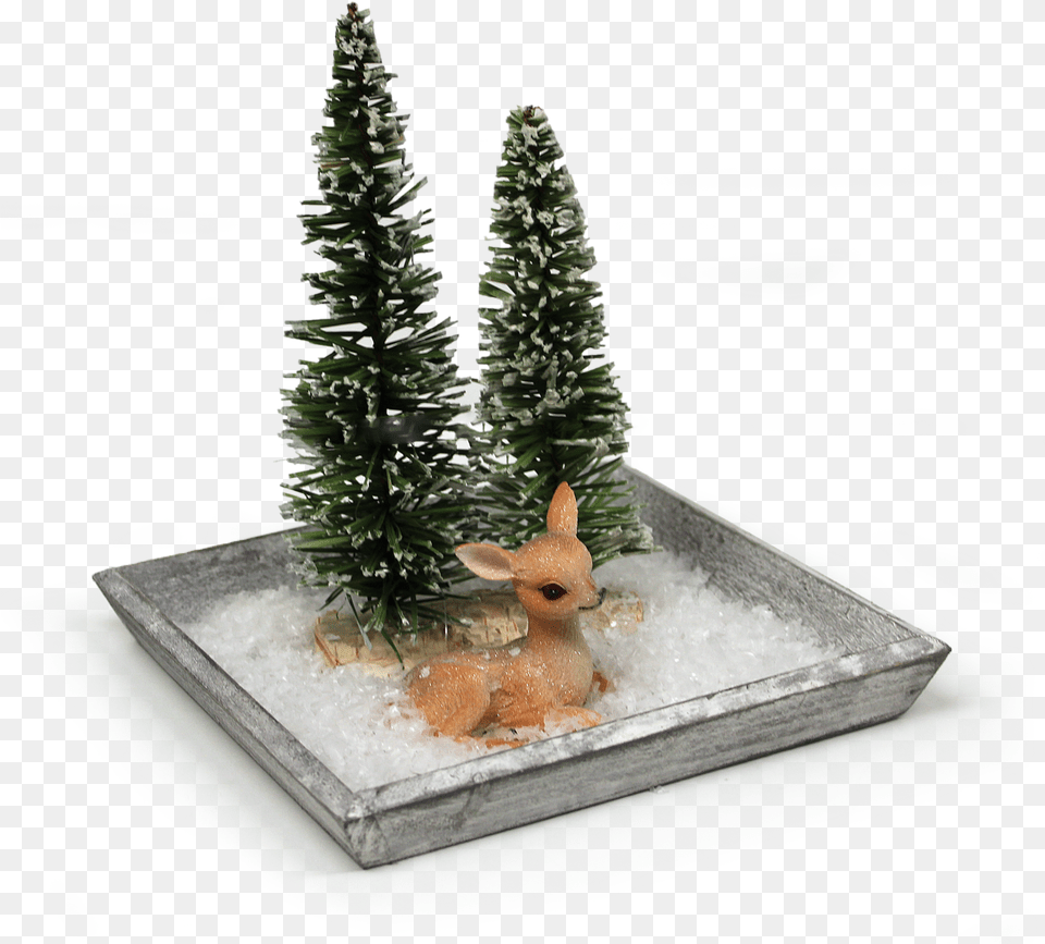 Transparent Snow Pine Tree, Plant, Fir, Christmas, Christmas Decorations Free Png