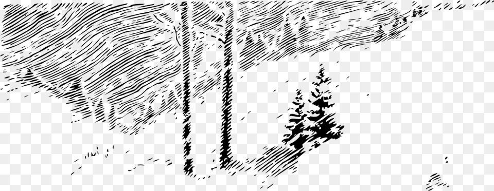 Transparent Snowy Trees Winter Trees Clip Art, Plant, Tree, Drawing, Vegetation Png Image
