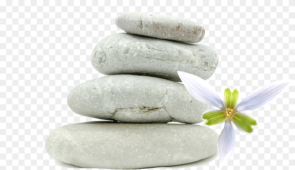 Transparent Spa Stones You Find Peace Within Yourself You Become The Kind, Pebble, Rock, Flower, Plant Png