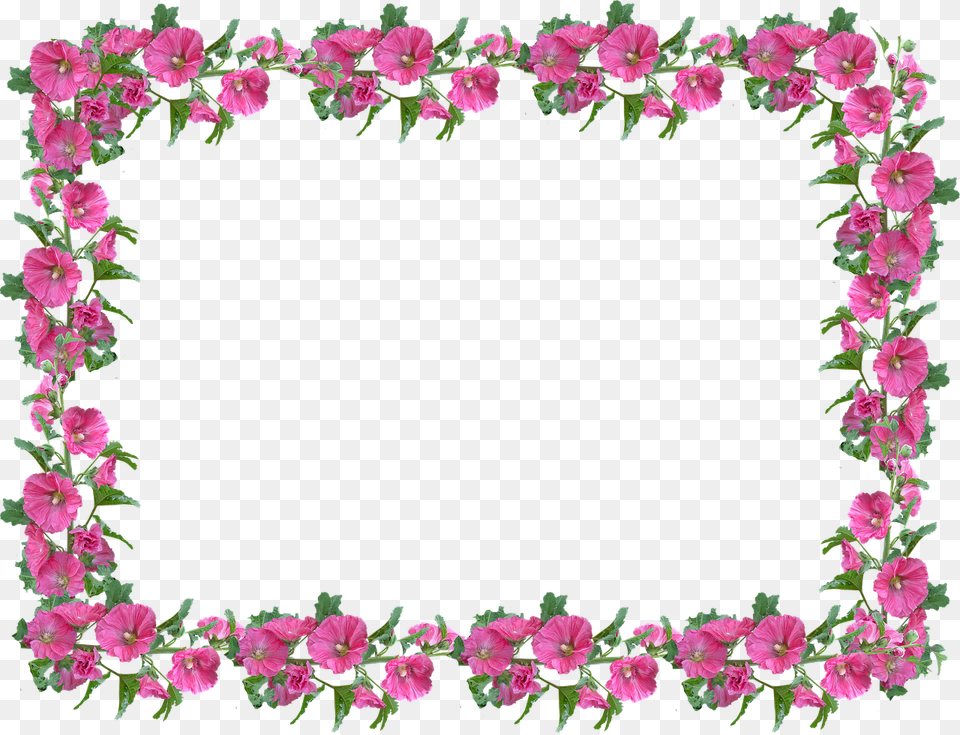 Transparent Space Border Flower Pink Border, Flower Arrangement, Plant, Art, Floral Design Png Image