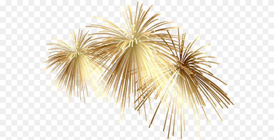 Spagetti Background Fireworks, Plant Free Transparent Png