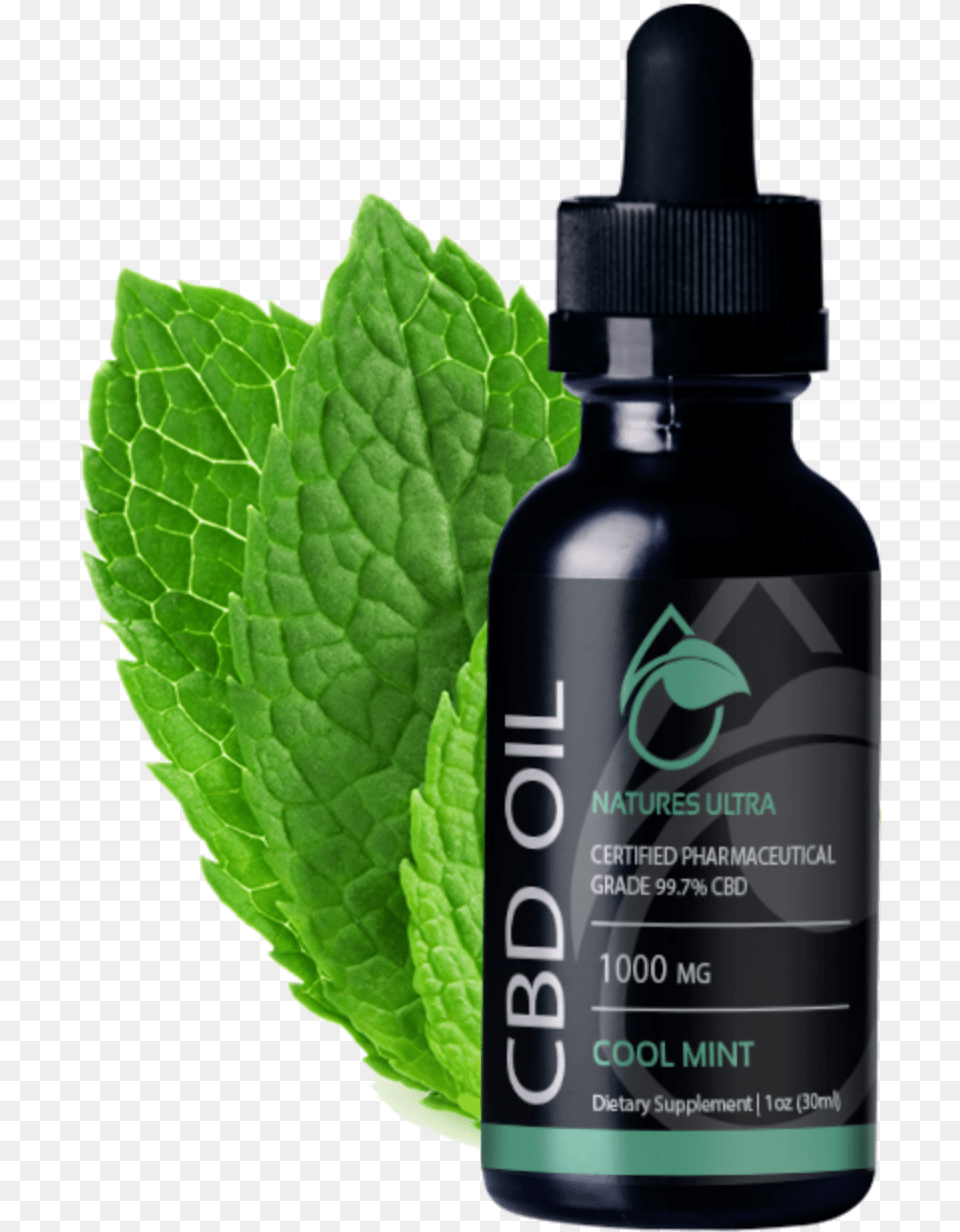 Transparent Spearmint Nature39s Ultra Cbd Oil, Herbal, Herbs, Mint, Plant Free Png