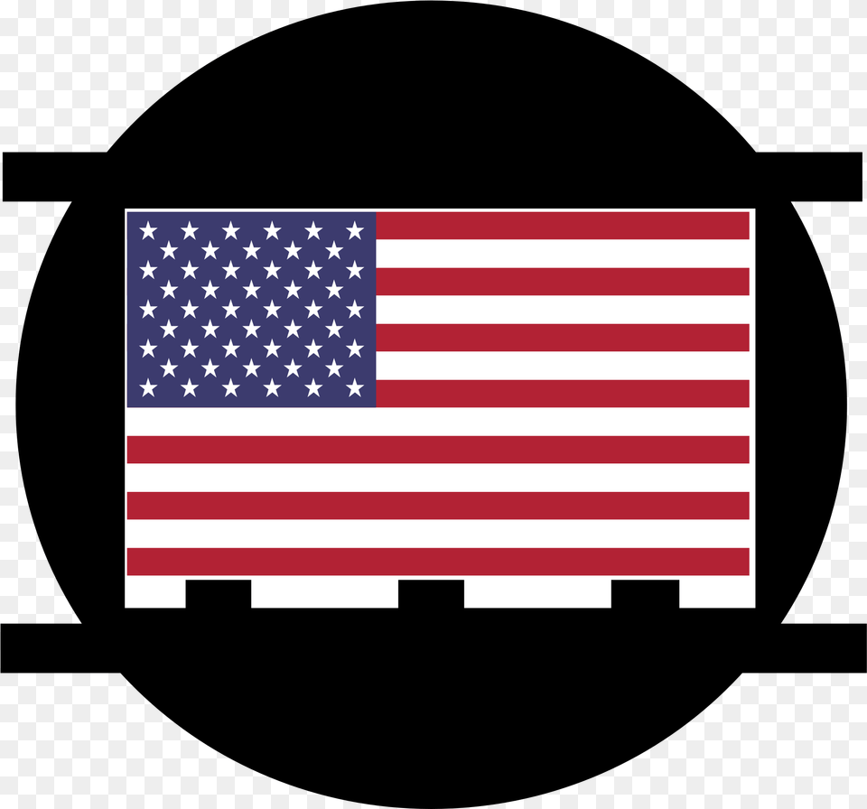 Transparent Speedy Gonzales Real Flag Of America, American Flag Png Image