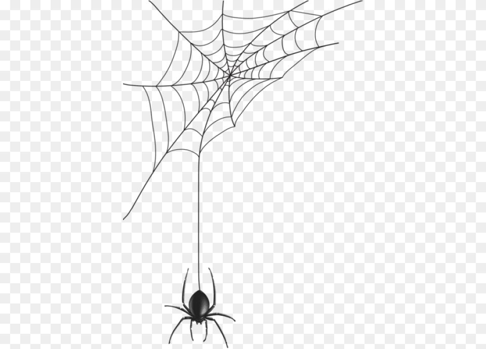 Transparent Spider, Spider Web Free Png Download