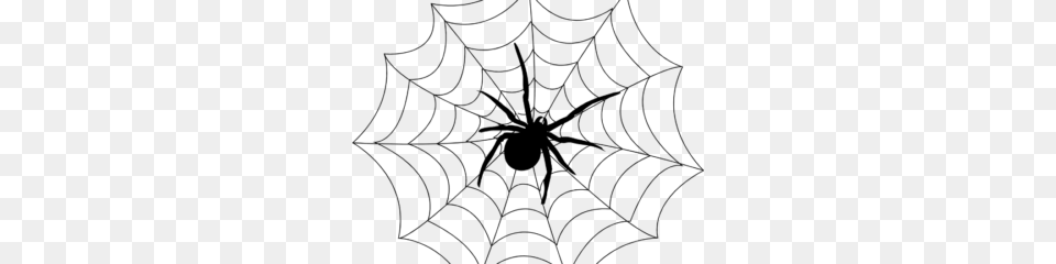 Transparent Spider Cliparts Clip Art, Gray Png Image