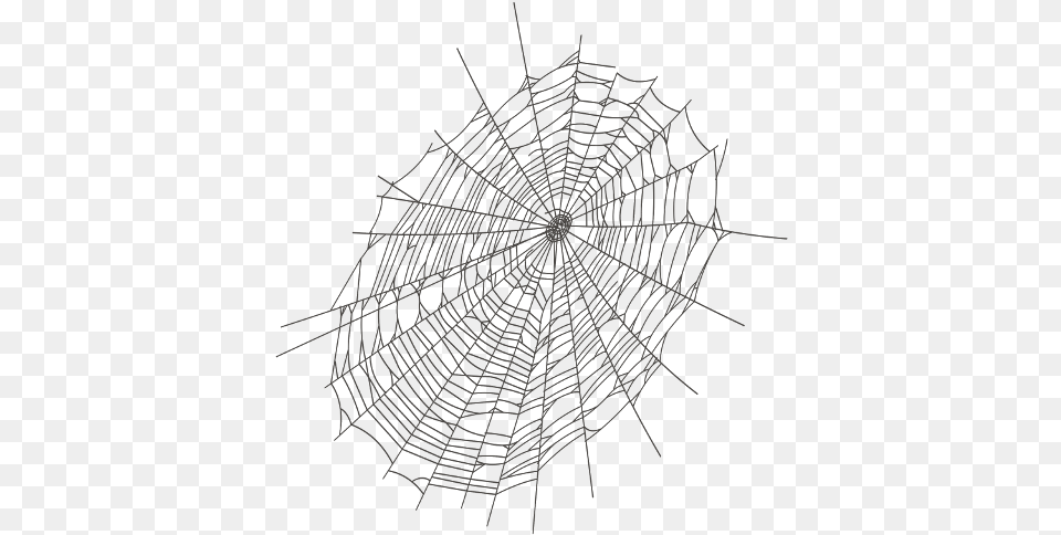 Transparent Spider Web, Spider Web, Chandelier, Lamp Free Png