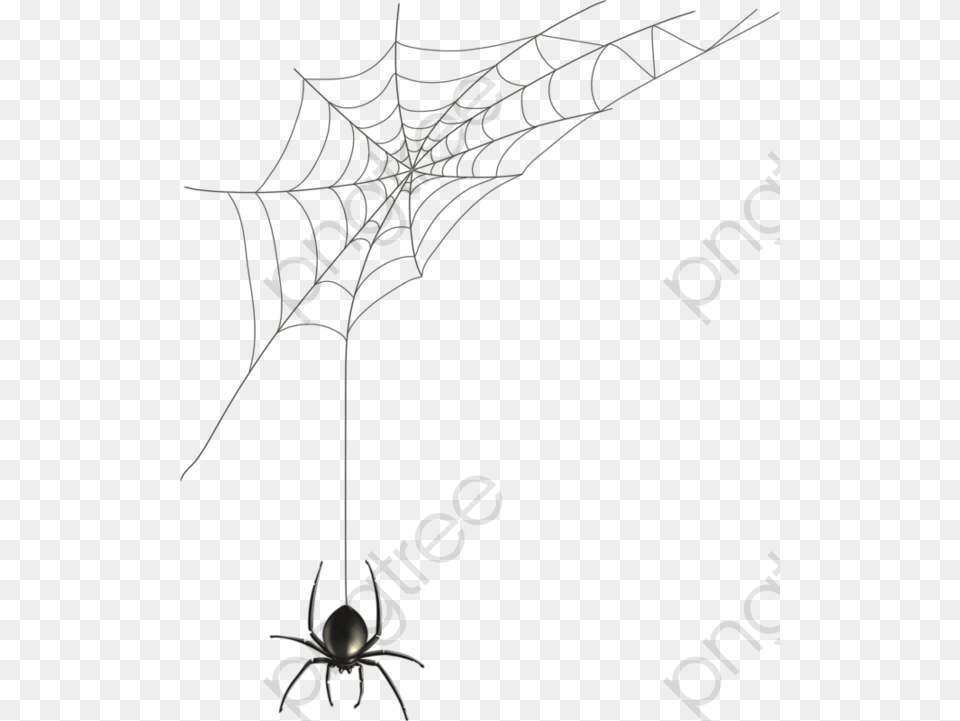 Transparent Spider Web Clip Art Clipart Transparent Background Transparent Spider Webs, Spider Web Png Image