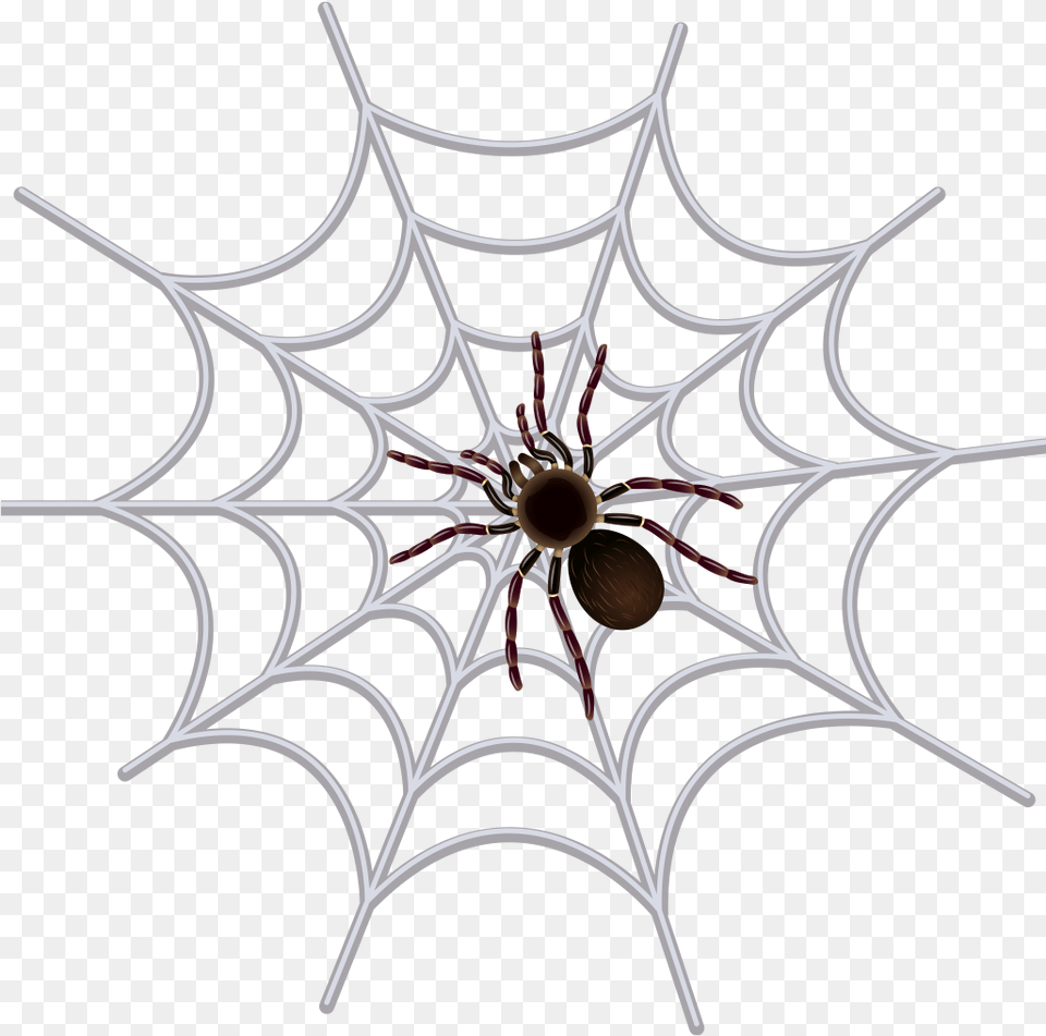 Transparent Spider Web Clipart Download Spider Web Images Black And White, Chandelier, Lamp, Spider Web, Animal Png