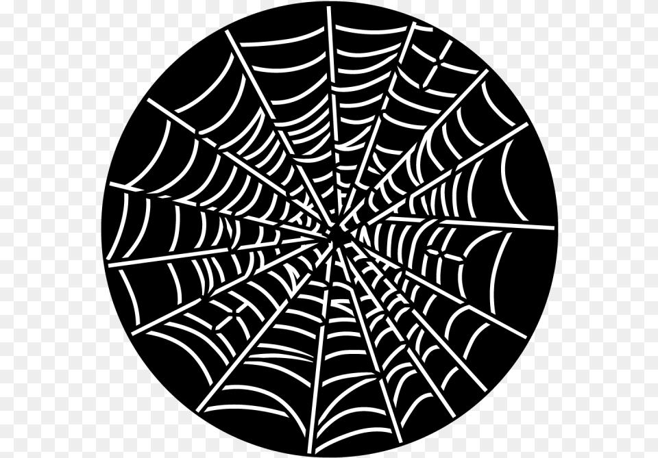 Transparent Spider Web Vector Warhammer Aos Colors Scheme, Spider Web Free Png Download