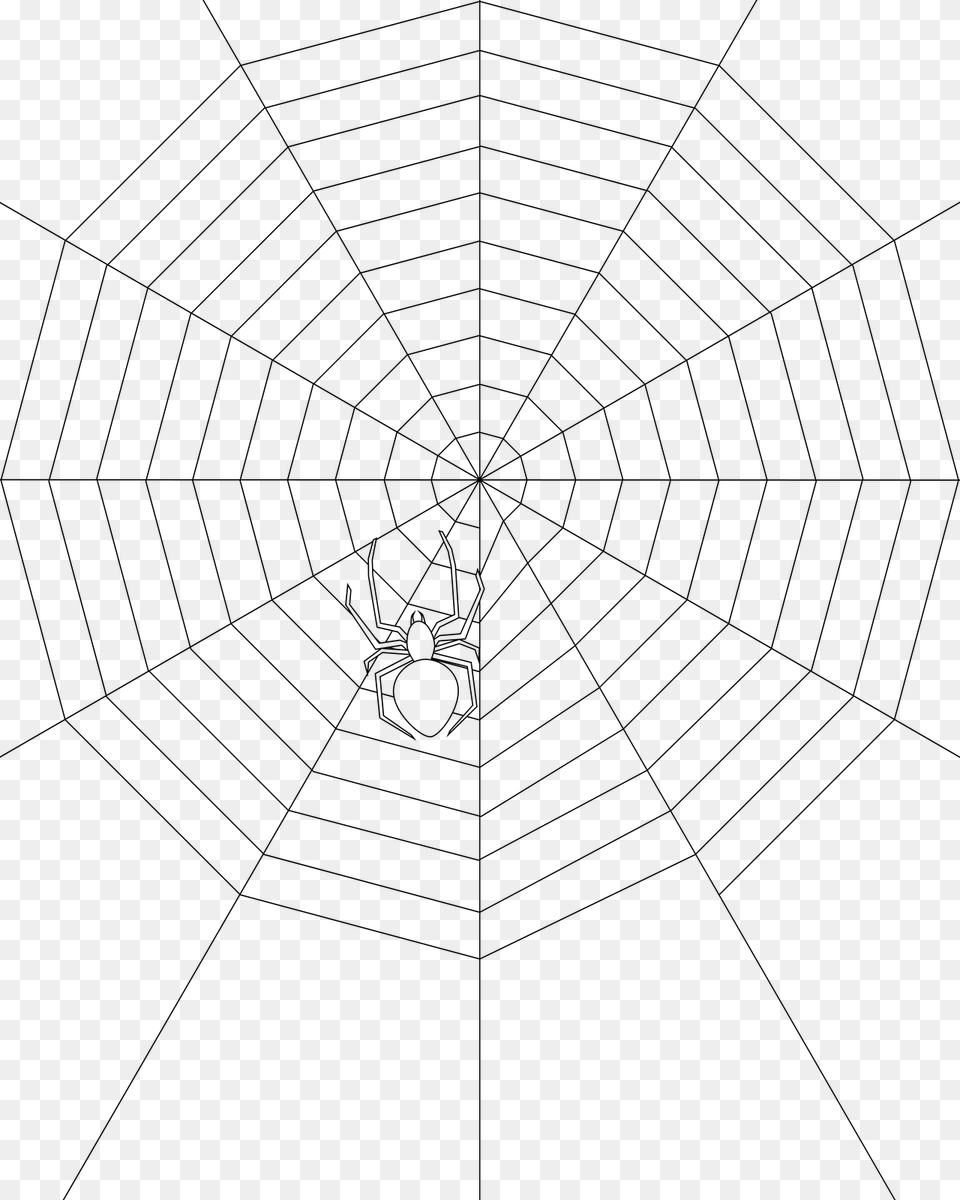 Transparent Spider Webs Orb Weaver Web Drawing, Gray Png Image