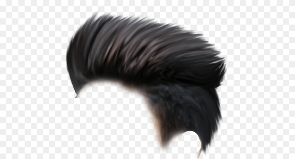 Transparent Spiky Hair Cb Hair Style, Adult, Male, Man, Person Free Png Download