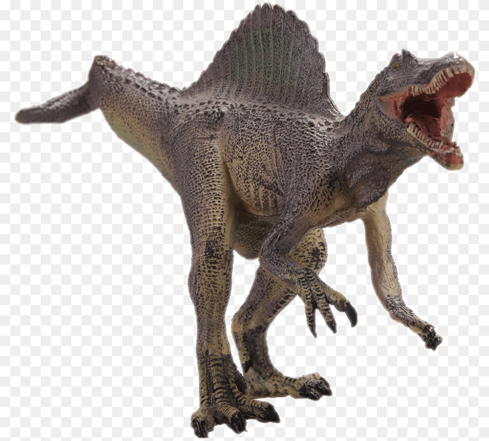 Transparent Spinosaurus, Animal, Dinosaur, Reptile, T-rex Png Image