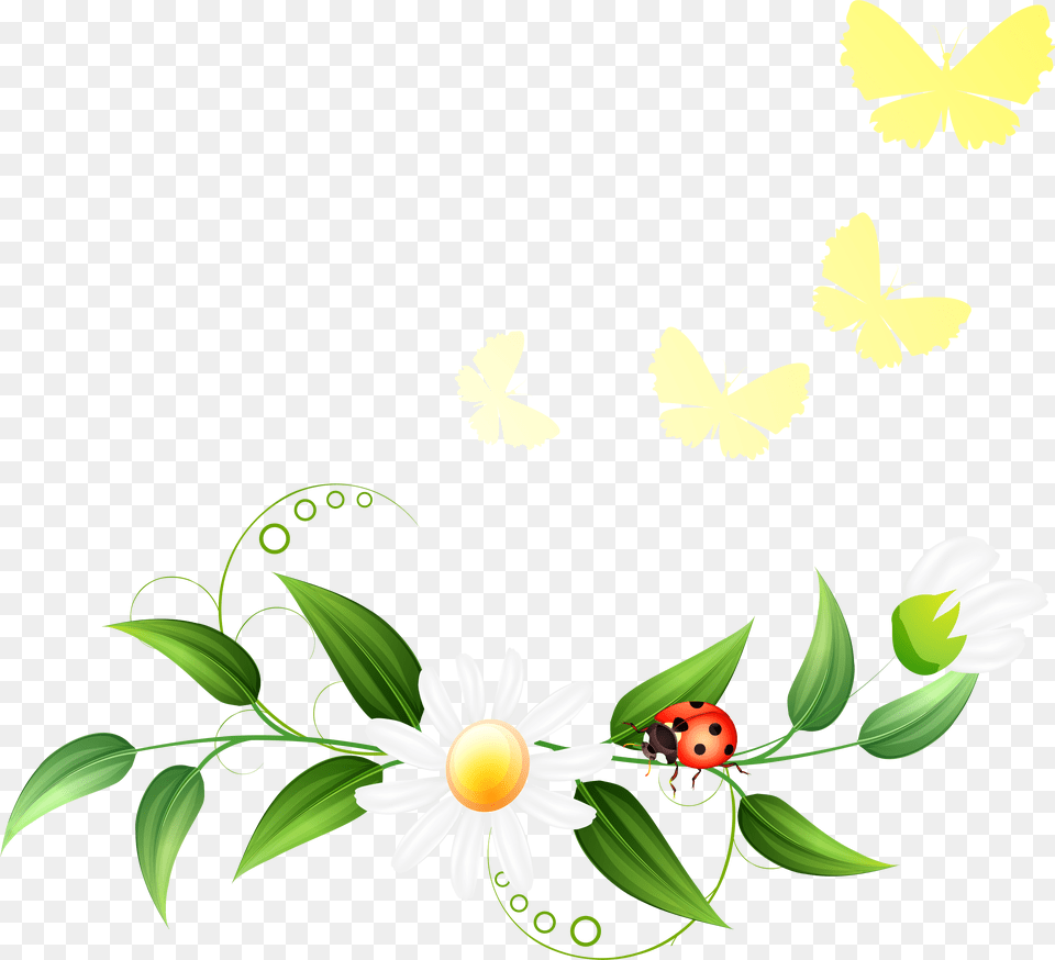 Transparent Spring Clipart Spring Decorations, Plant, Pattern, Graphics, Flower Png