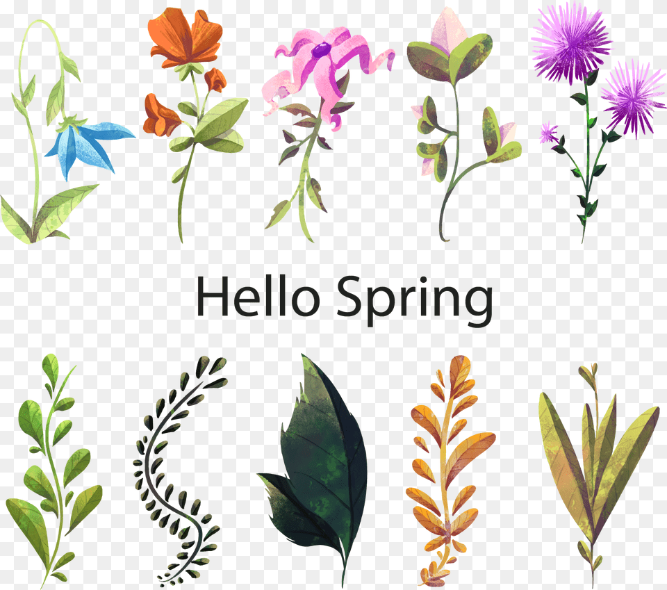 Transparent Spring Flower Watercolor Flowers And Plants, Plant, Leaf, Herbs, Herbal Png Image