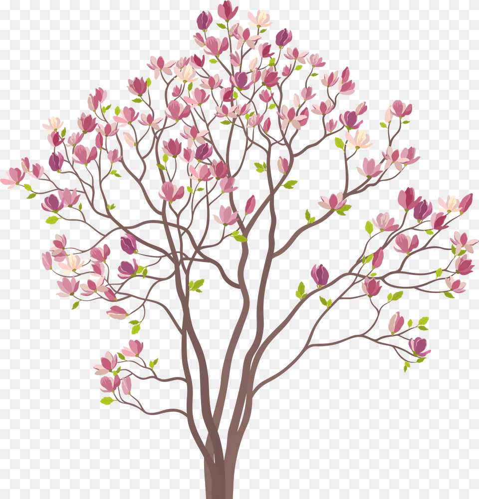 Transparent Spring Tree, Plant, Flower, Art Png