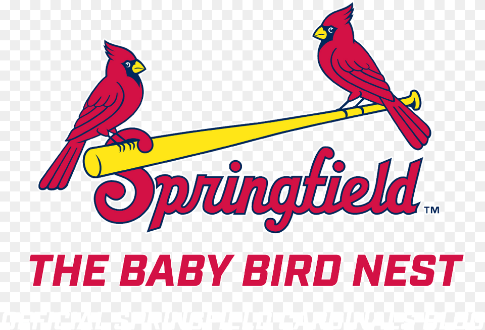 Transparent Springfield Cardinals Logo, Animal, Bird, Cardinal Free Png