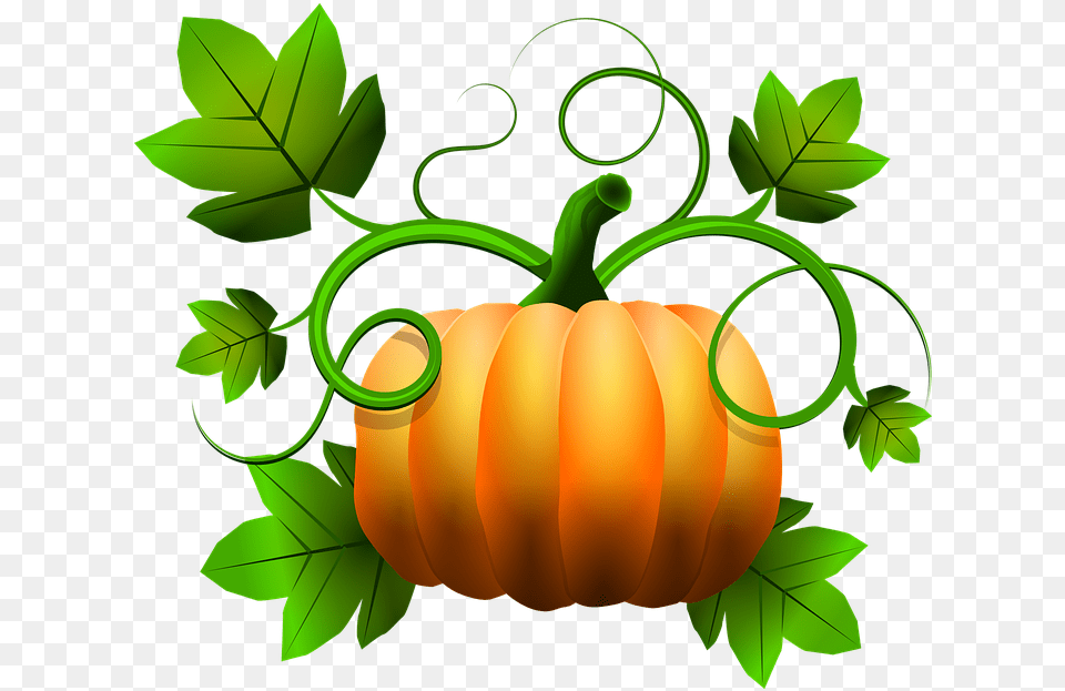 Transparent Squash Transparent Pumpkins Cartoon, Food, Leaf, Plant, Produce Png Image
