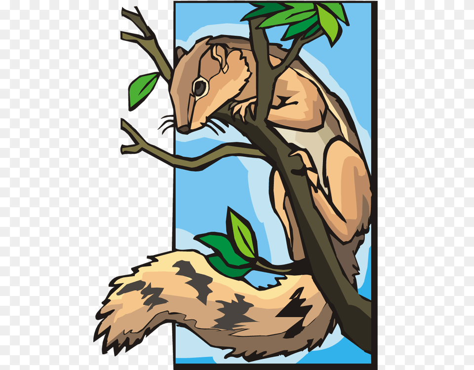 Transparent Squirrel Clipart Squirrel In A Tree Clipart, Baby, Person, Face, Head Free Png