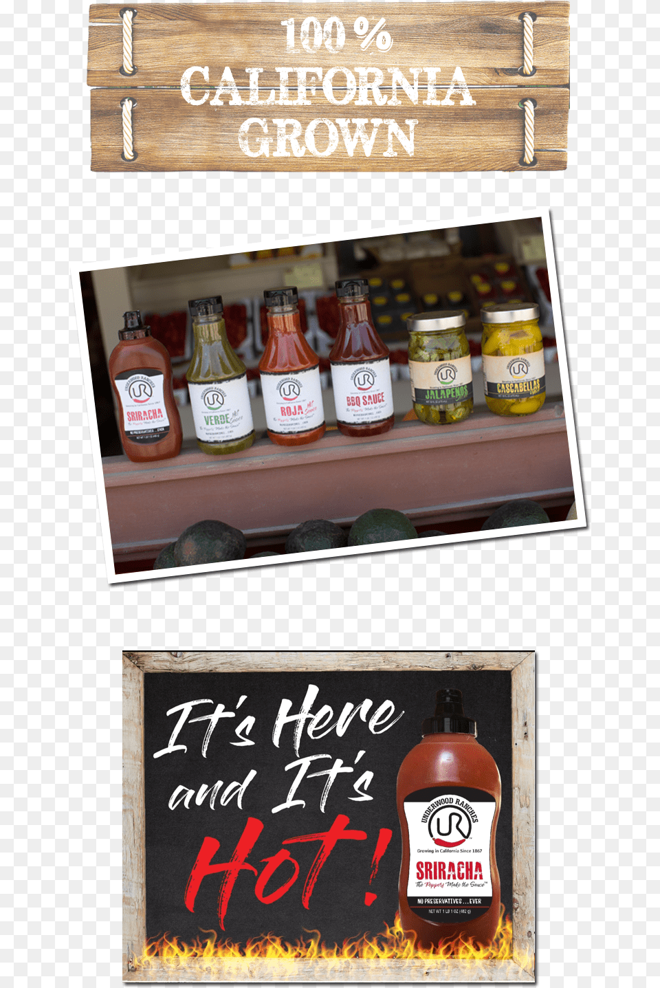 Transparent Sriracha Bottle Bloody Mary, Food, Ketchup, Shelf, Can Free Png