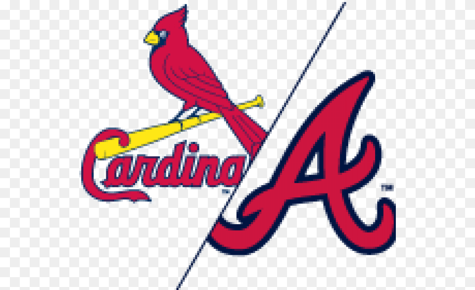 St Louis Cardinals Braves Vs Cardinals 2019, Animal, Bird, Cardinal Free Transparent Png