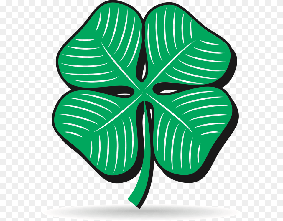 Transparent St Patrickquots Day Border Cosas Color Verde, Leaf, Plant, Flower, Petal Png Image